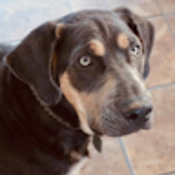 Meet your Posher, Lisa - Picture 1 of 1